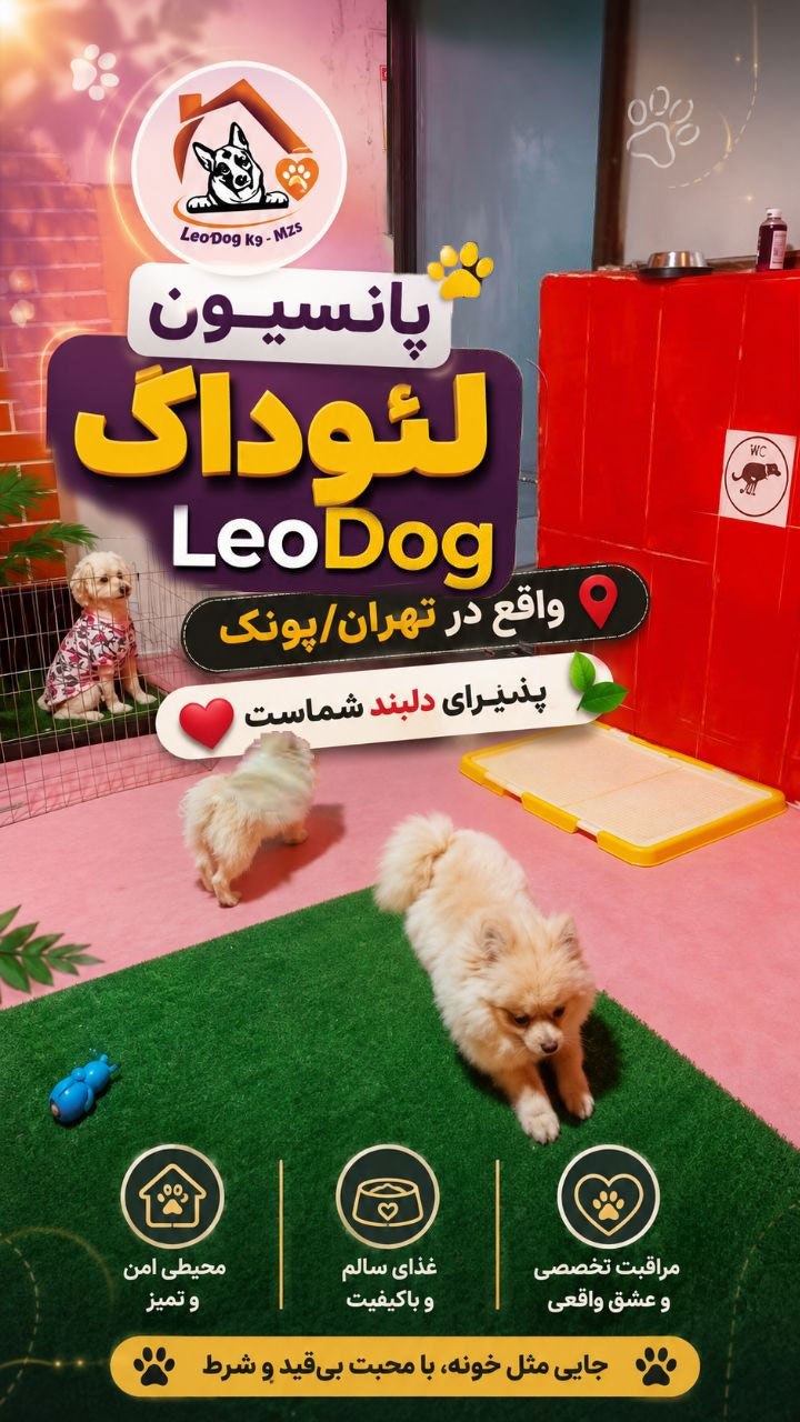 LeoDog