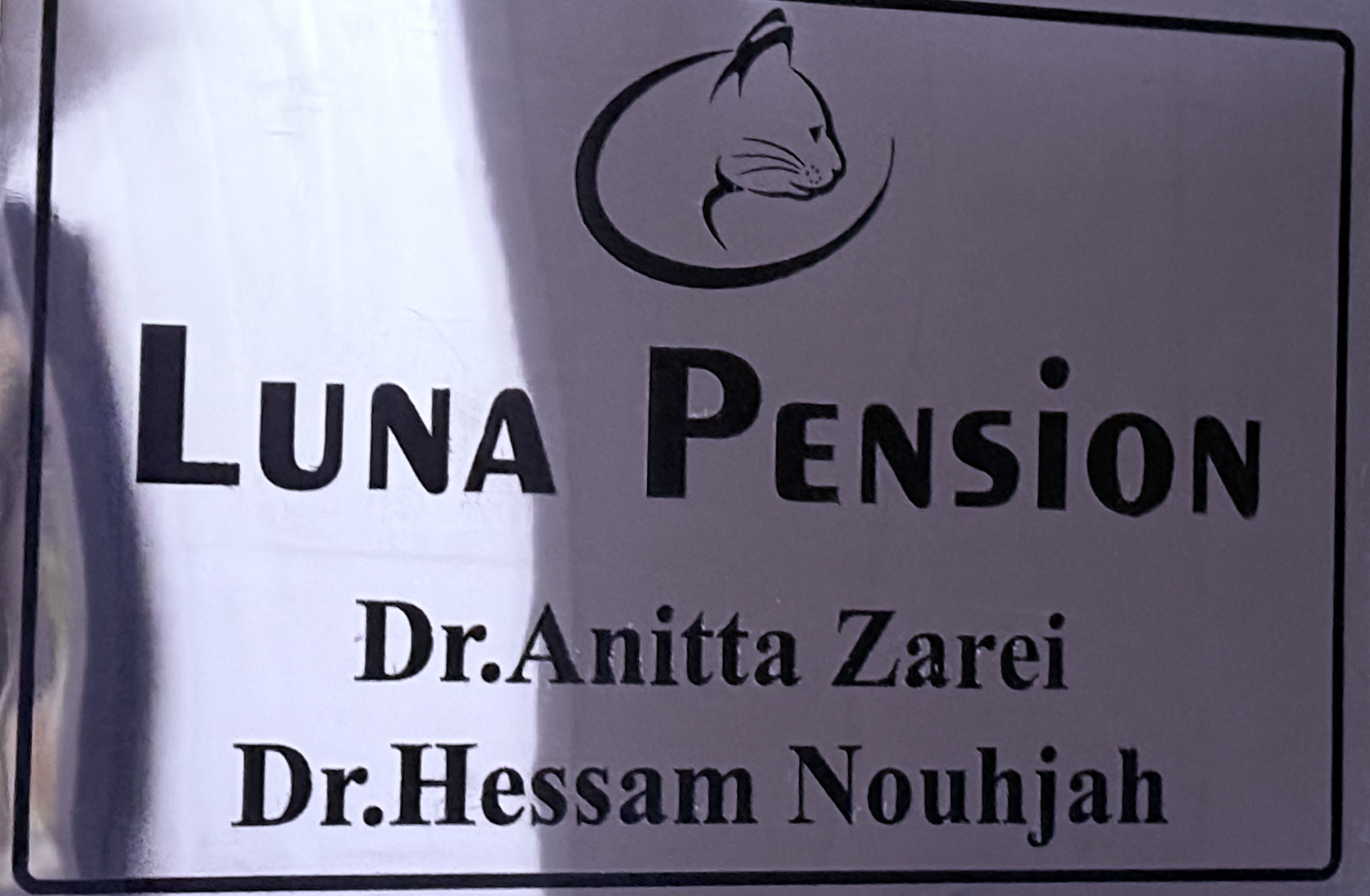 پانسیون تخصصی گربه لونا 